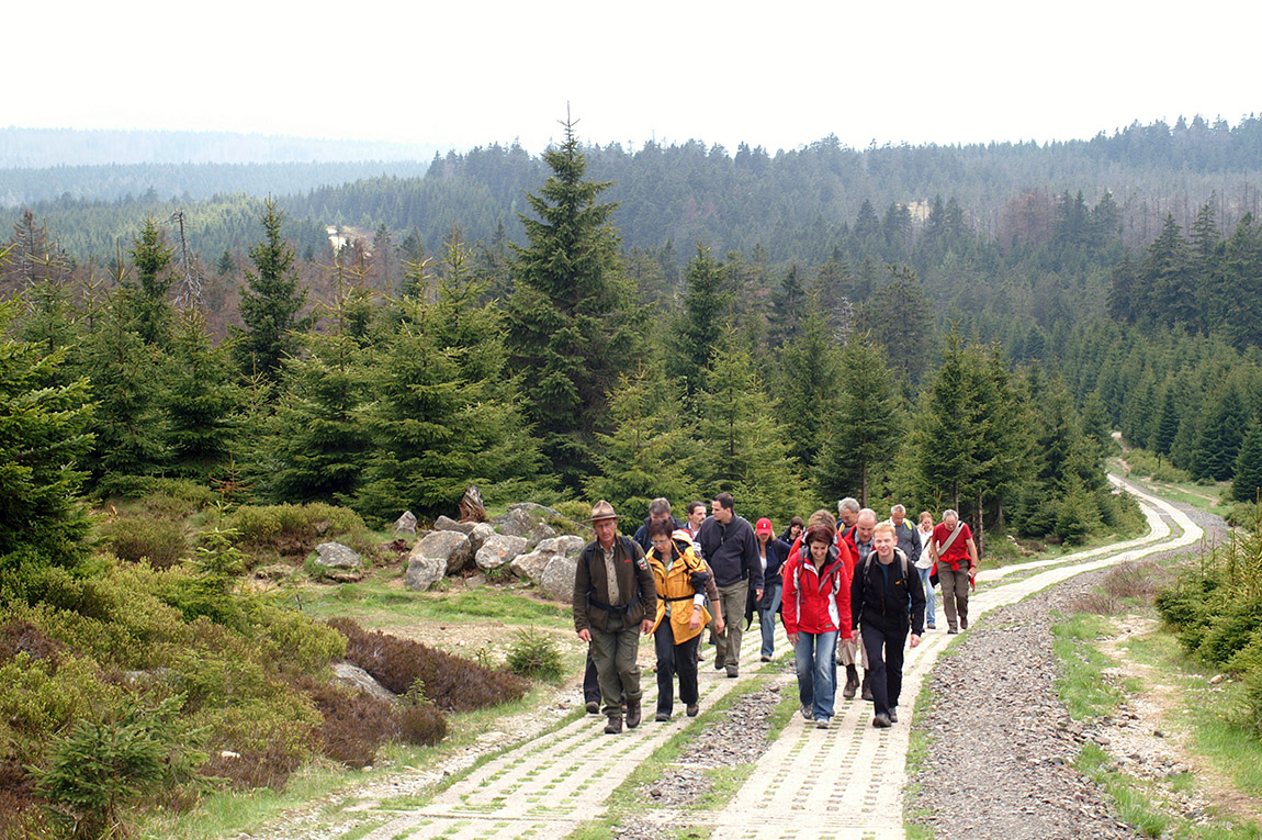 Walking on the Kolonnenweg, a former border patrol road. Photo: Harzer Tourismusverband | From iron curtain to green corridor