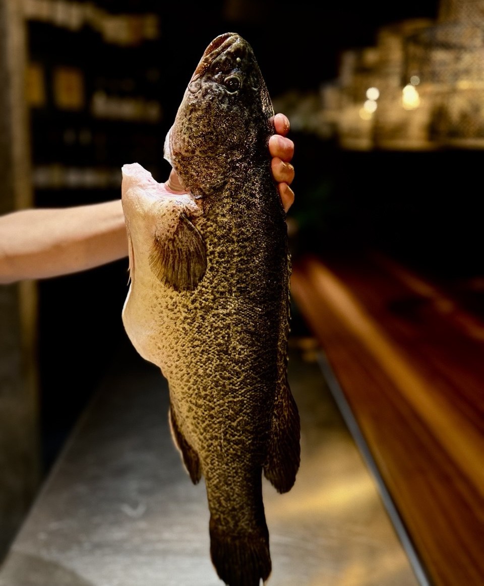 Restaurant SHIN Zurich: Culinary diversity and a flair for flavour: Asian fusion cuisine enchants the senses