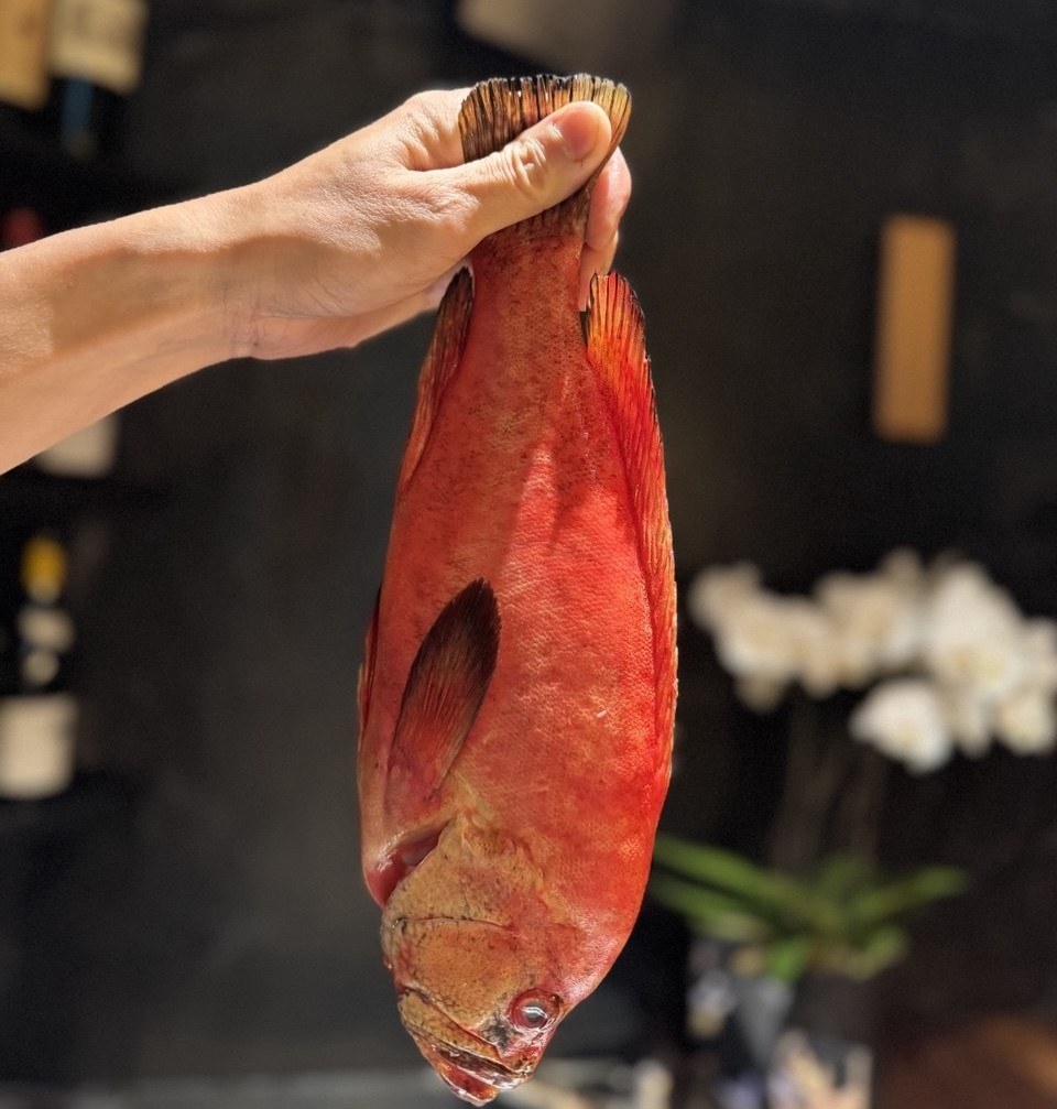 Restaurant SHIN Zurich: Culinary diversity and a flair for flavour: Asian fusion cuisine enchants the senses