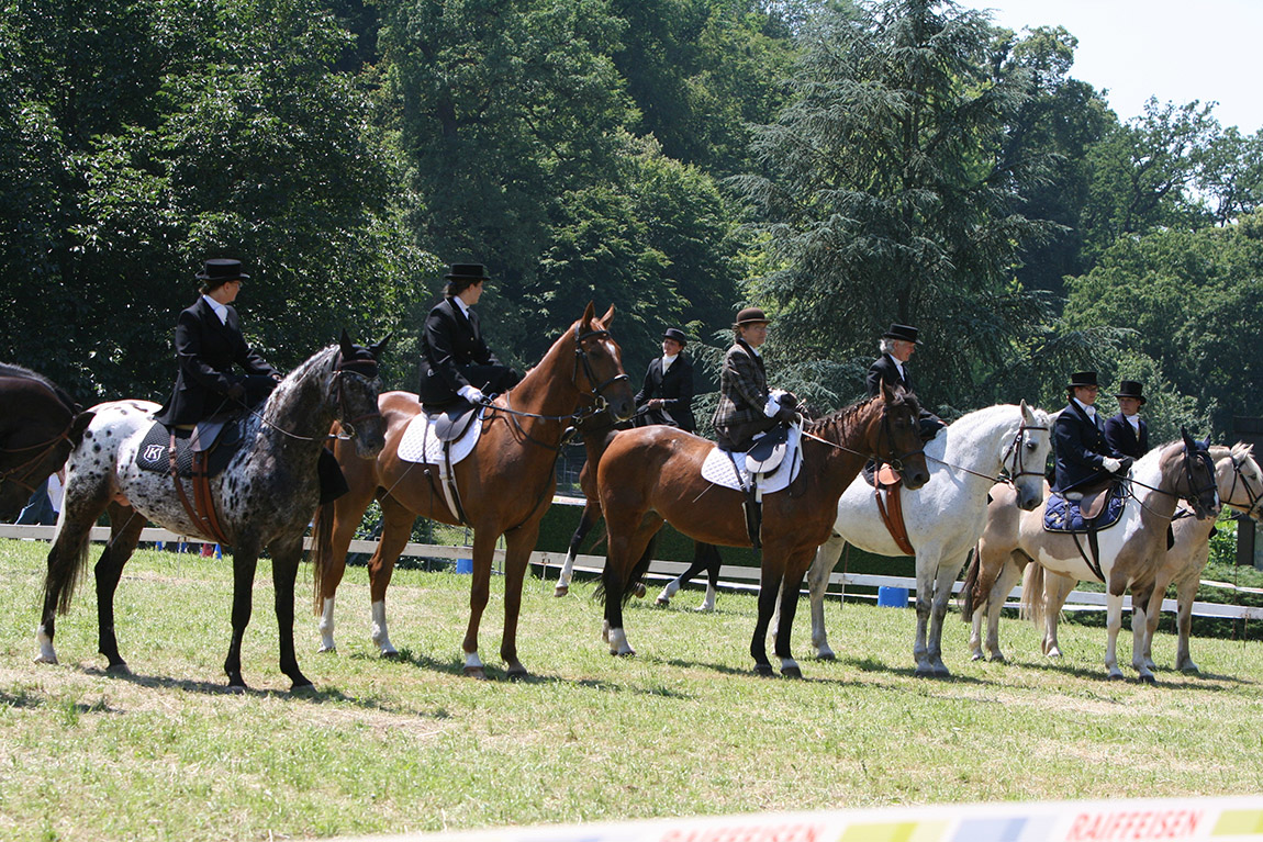 Foto: Damensattel-Verein Schweiz | Graceful and elegant – The Ladies’ Side Saddle Association of Switzerland combines tradition and modern horsemanship
