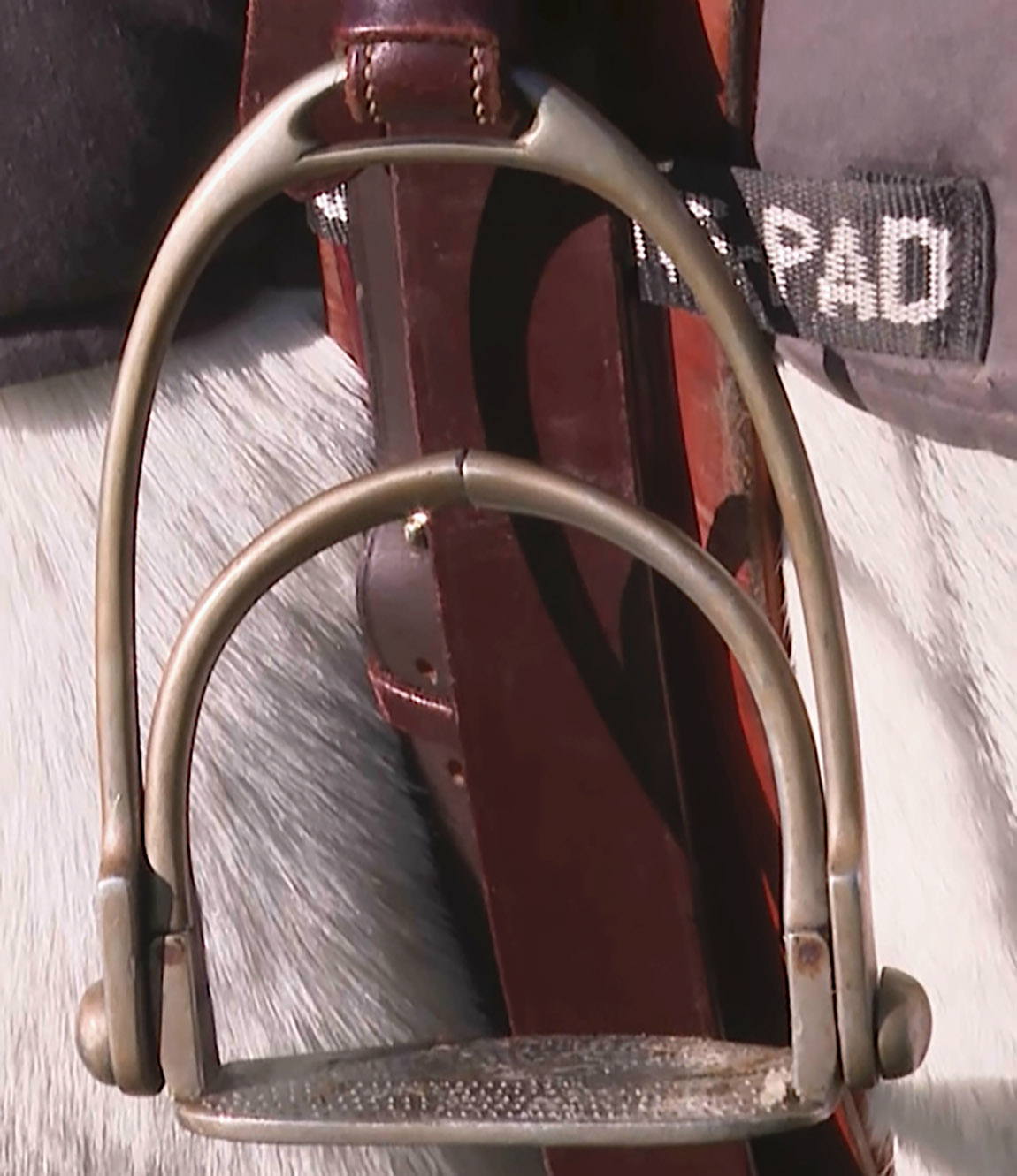 Foto: Damensattel-Verein Schweiz | Graceful and elegant – The Ladies’ Side Saddle Association of Switzerland combines tradition and modern horsemanship