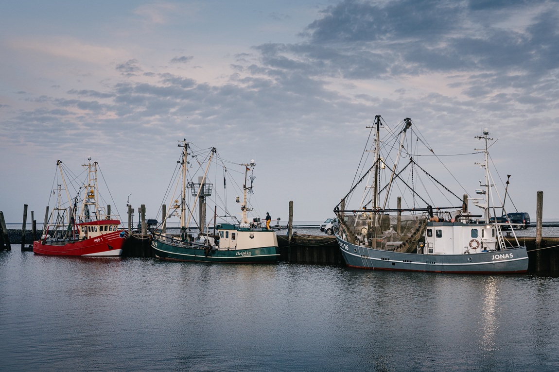 North Sea shrimp fishing boats in Dagebüll.