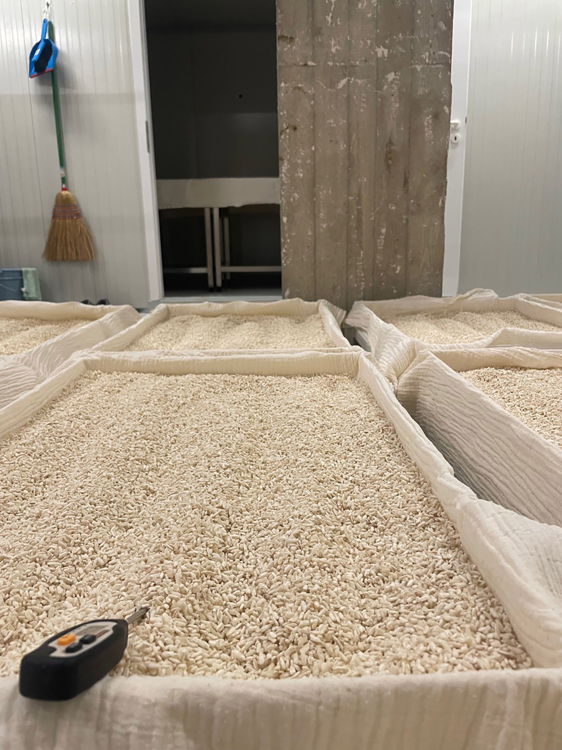 Rice to the occasion: How Berlin is reimagining the spirit of Japan