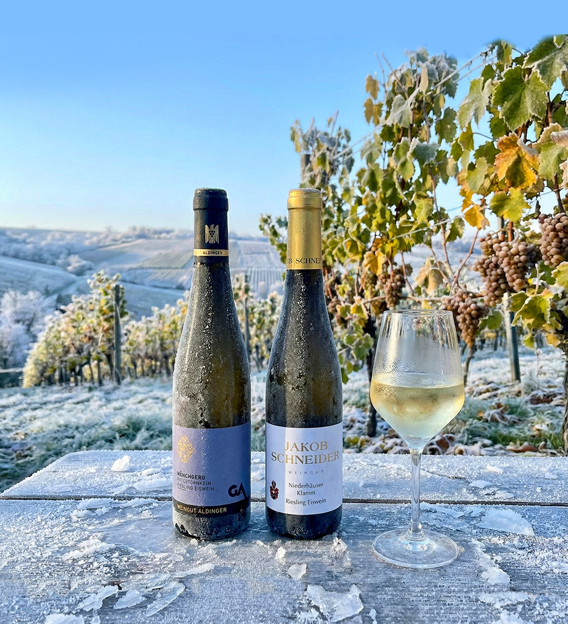 Wine from frosted grapes? Yes, please.