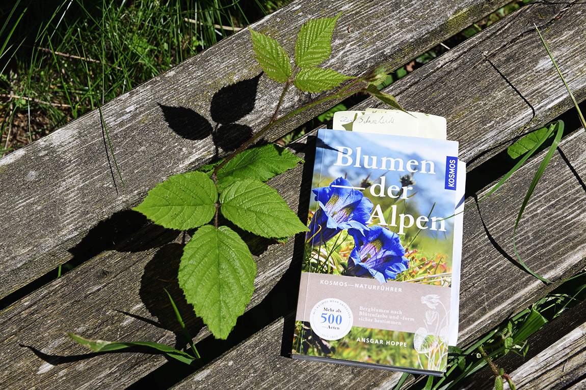 Bavarian Flower Power