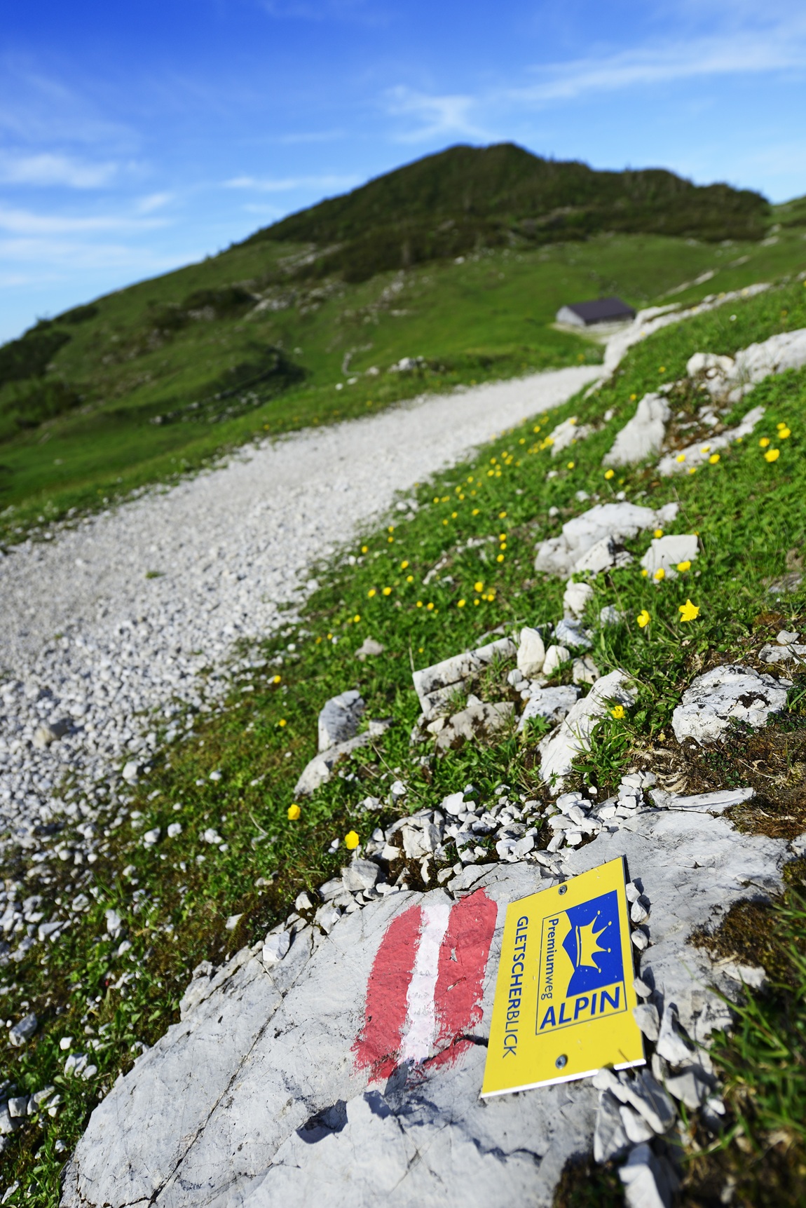 Bavarian Flower Power