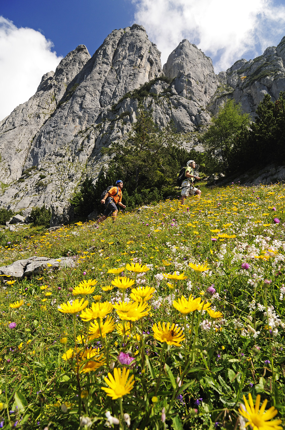Bavarian Flower Power