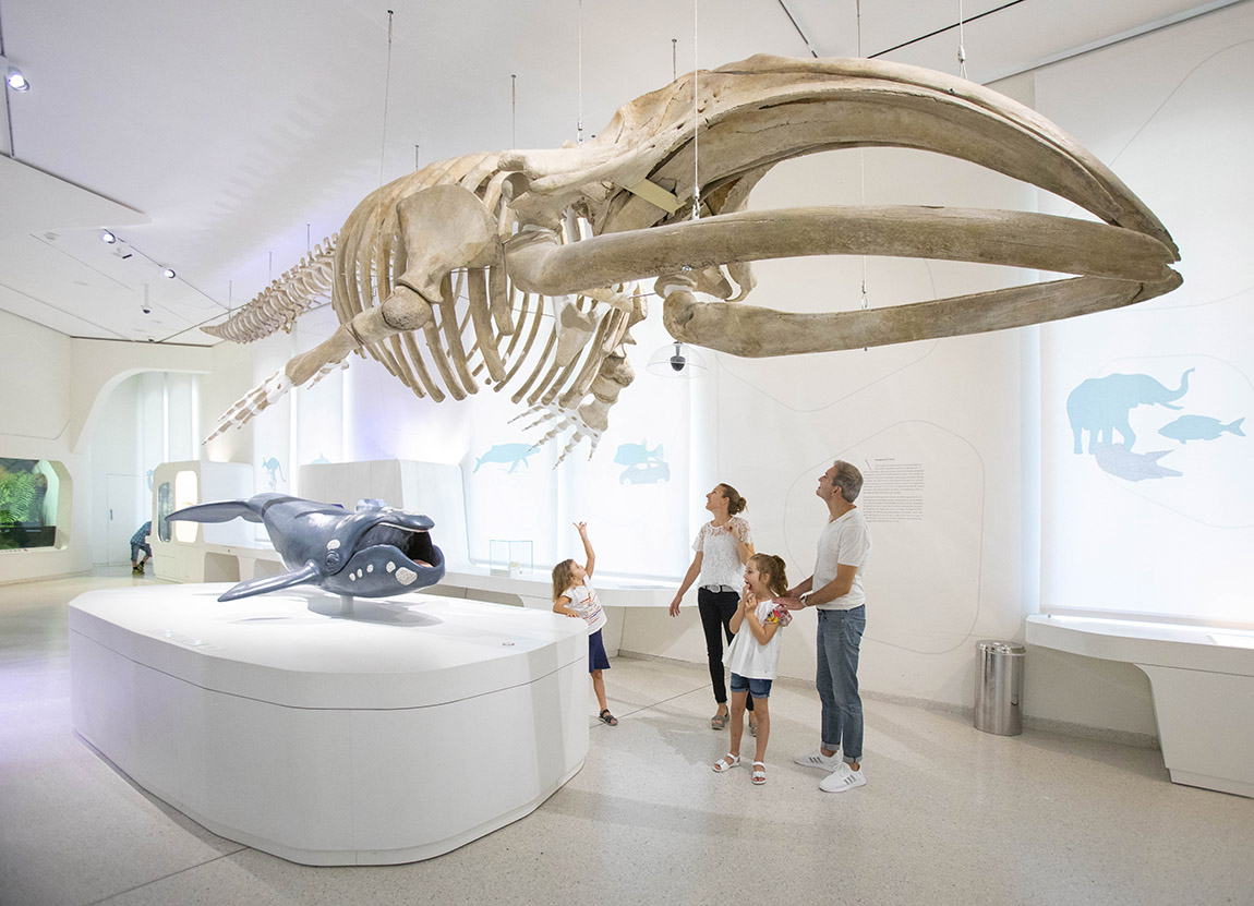 A family visits the State Museum of Natural History in Karlsruhe. Photo: KTG Karlsruhe Tourismus GmbH / Jürgen Rösner | Discover Germany together – Top five family-friendly travel in Germany