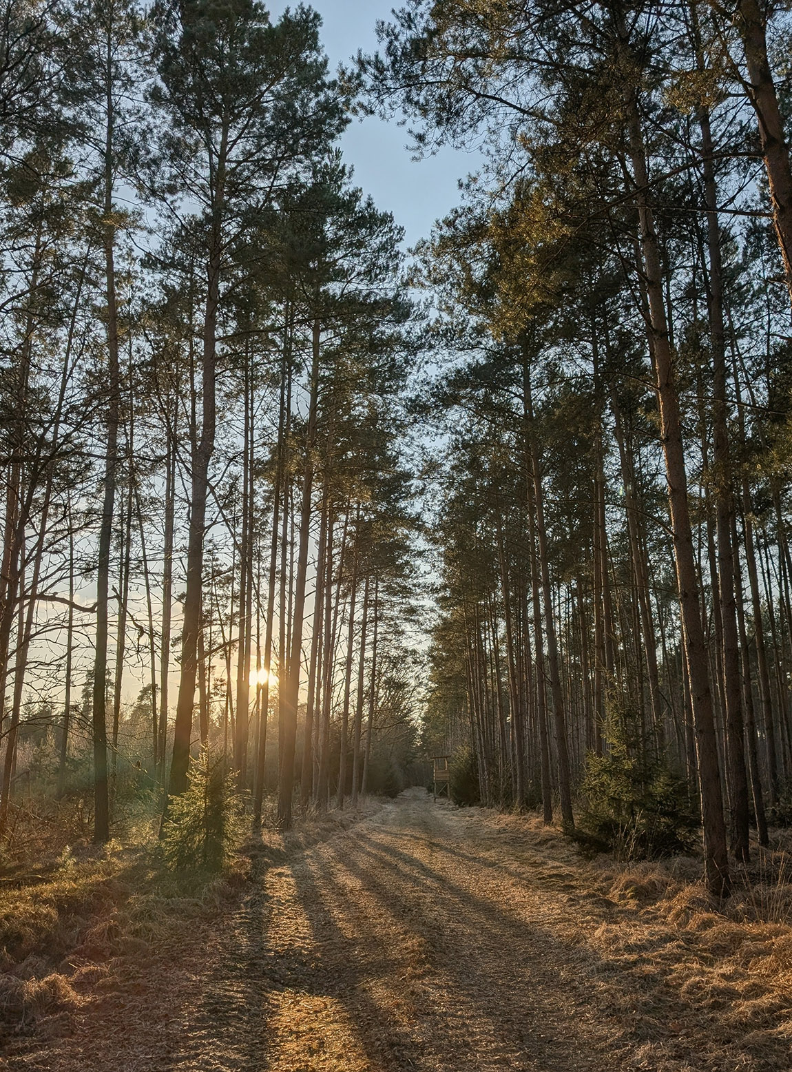 SCHLOSS SIGRÖN – Kleines Juwel in der Prignitz