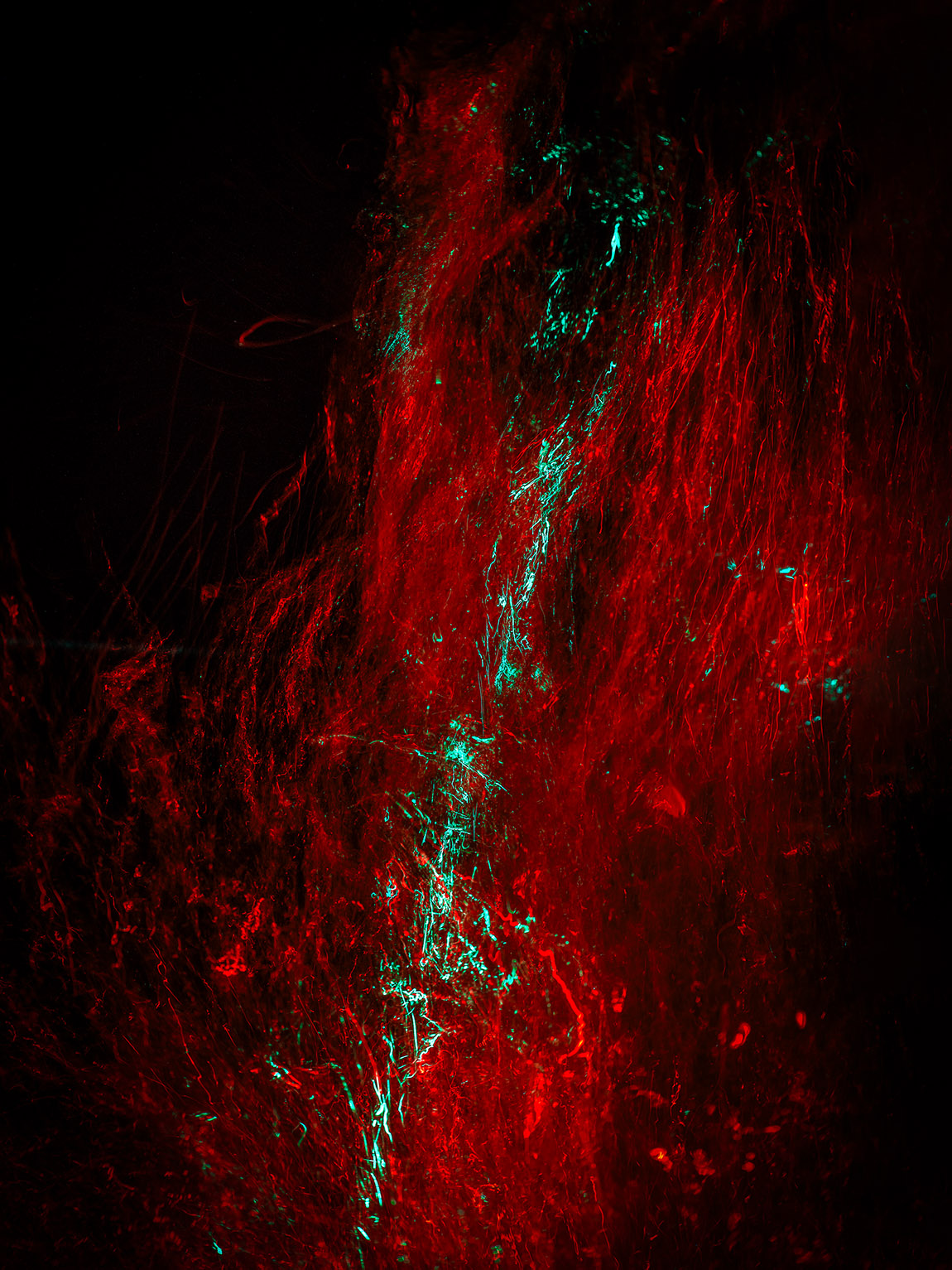 Blood #19 (2023). | Beneath the surface: Alexej Sachov’s underwater vision