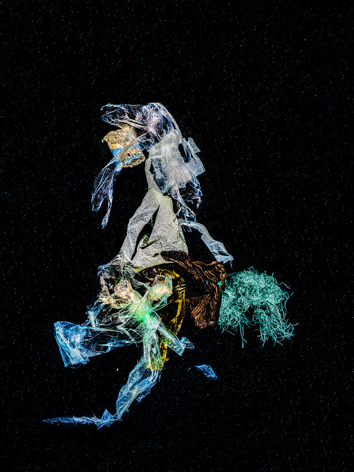 Chronicles of An Emerging Diversity – The Knight (2023). | Beneath the surface: Alexej Sachov’s underwater vision