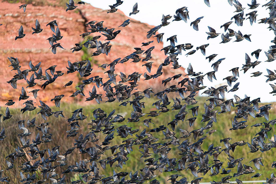 Photo: Thorsten Meyer, Helgoland Tourismus-Service | Heligoland: The island with holes in it