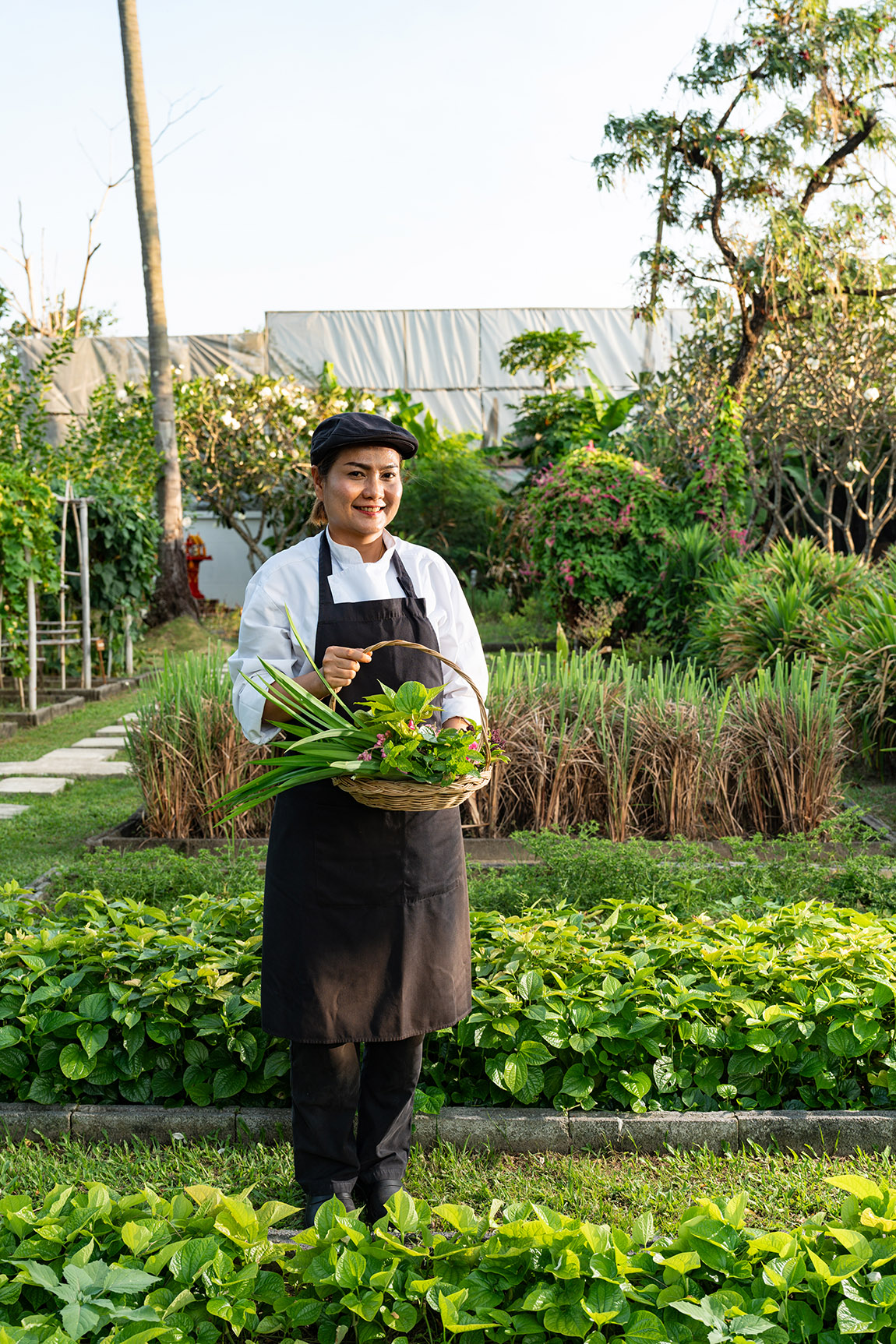 Pullman Phuket Panwa Beach Resort: Where luxury, sustainability and island adventures meet