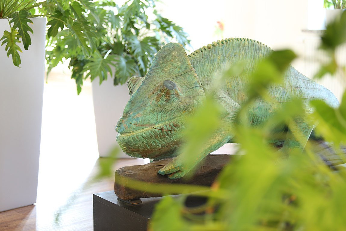 Frank & Konsorten — Konsequent zu starken Marken