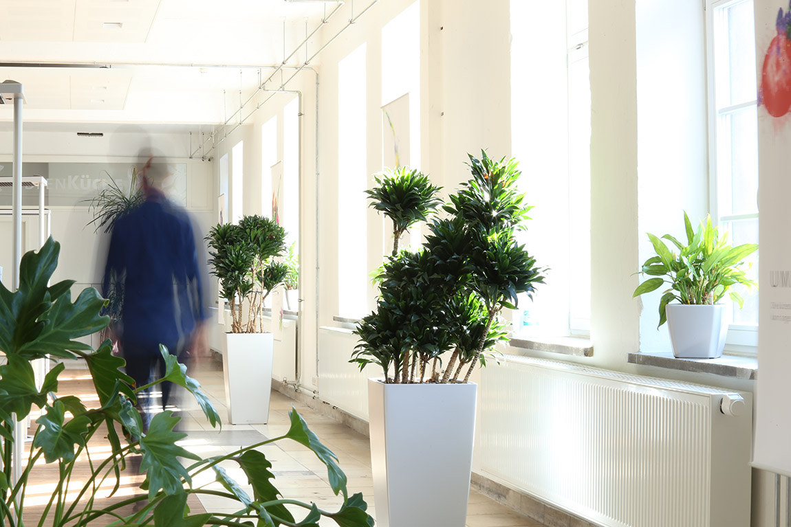 Frank & Konsorten — Konsequent zu starken Marken