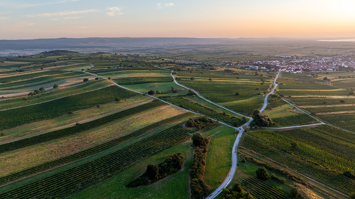 Sunrise at Leithaberg. | Esterházy Winery: Origin wines from Leithaberg