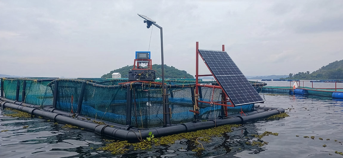 How solar energy revolutionises Africa’s economy and everyday life