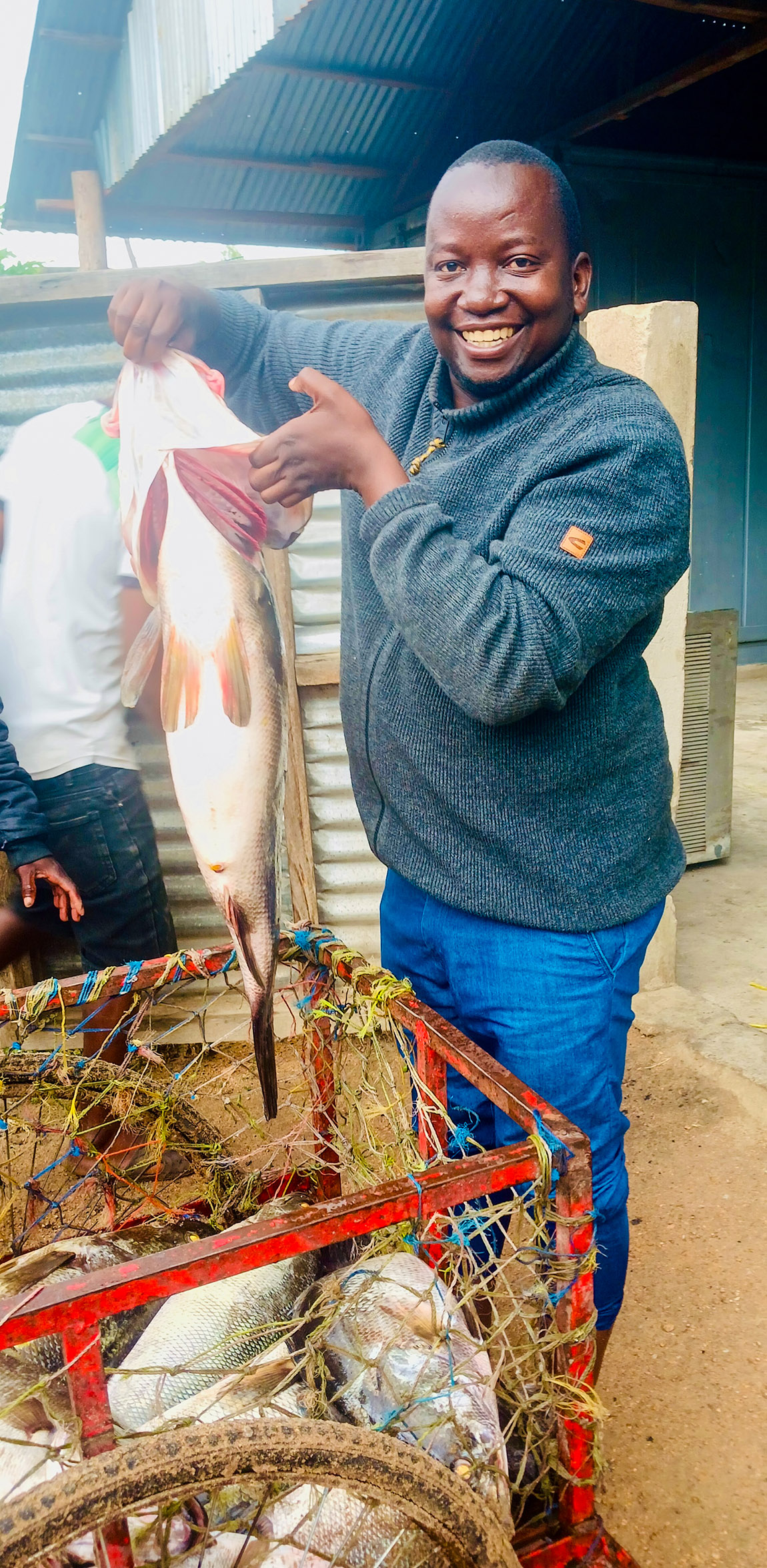 How solar energy revolutionises Africa’s economy and everyday life