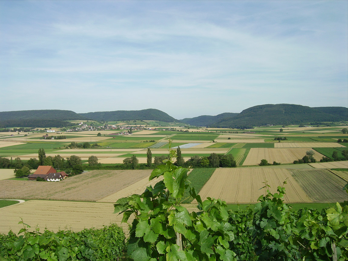 Weinfasshotel Rüedi: Staying in a real wine barrel