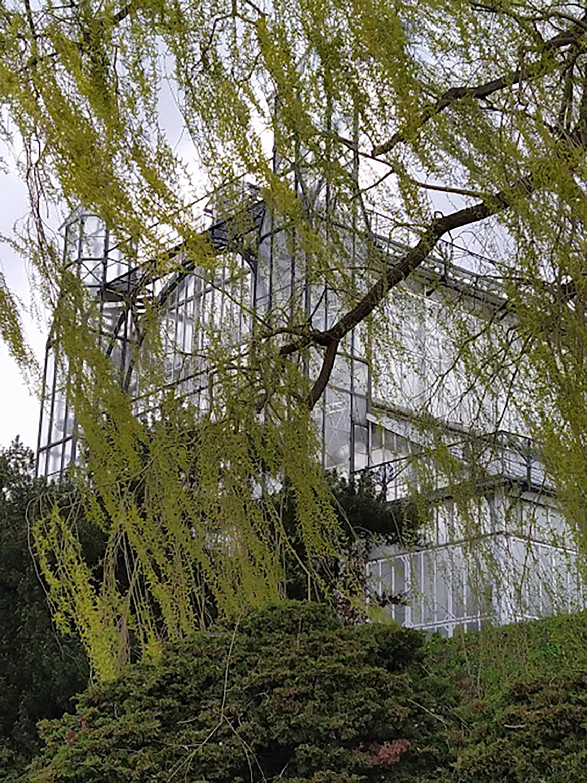 Mediterranean House. Photo: Cornelia Brelowski | Cornelia Brelowski: Of Imperial Botany and Education