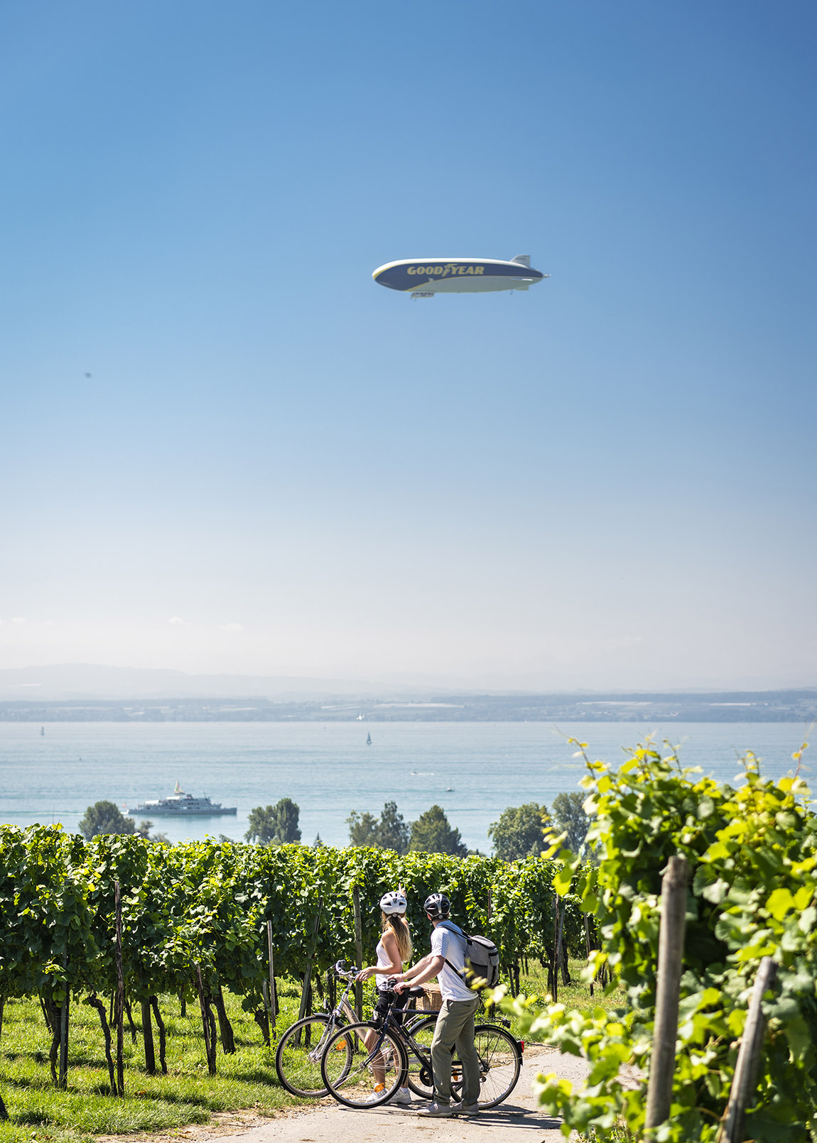 Radfahren und Weinberge am deutschen Ufer. Foto: Dietmar Denger | Lake Constance: Four countries, one lake, endless possibilities