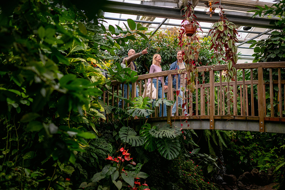 Schmetterlingshaus auf der Insel Mainau. Foto: Bjoern Jansen, Mainau GmbH | Lake Constance: Four countries, one lake, endless possibilities