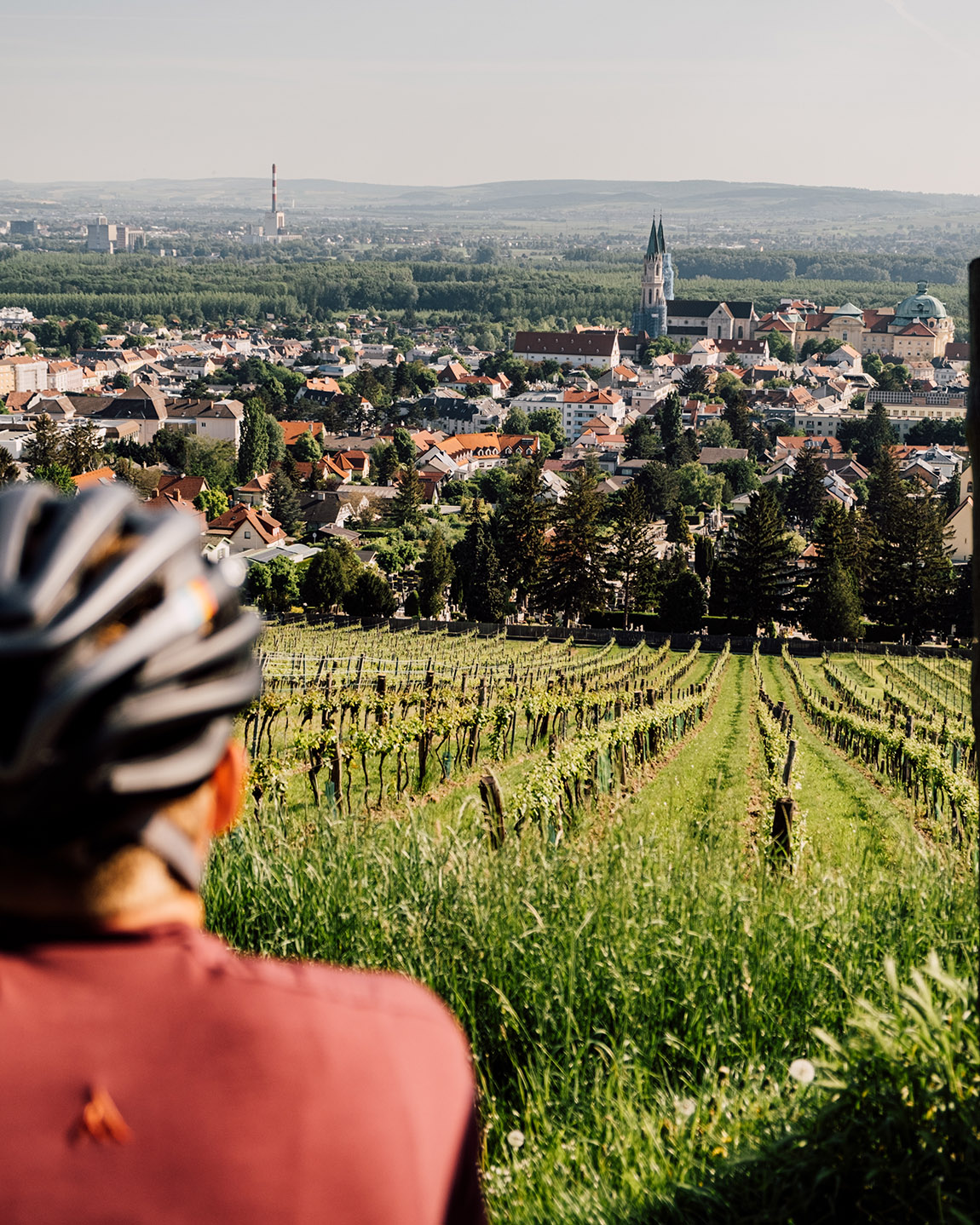 Gravel biking in the Wienerwald region. Photo: Austrian National Tourist Office / Skyline Medien GmbH (Christoph Perkles) | Extraordinary doorstep escapes: Top 11 microadventures in Austria