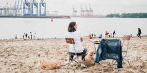 Visit Hamburg: The Best Things to Do, See and Experience