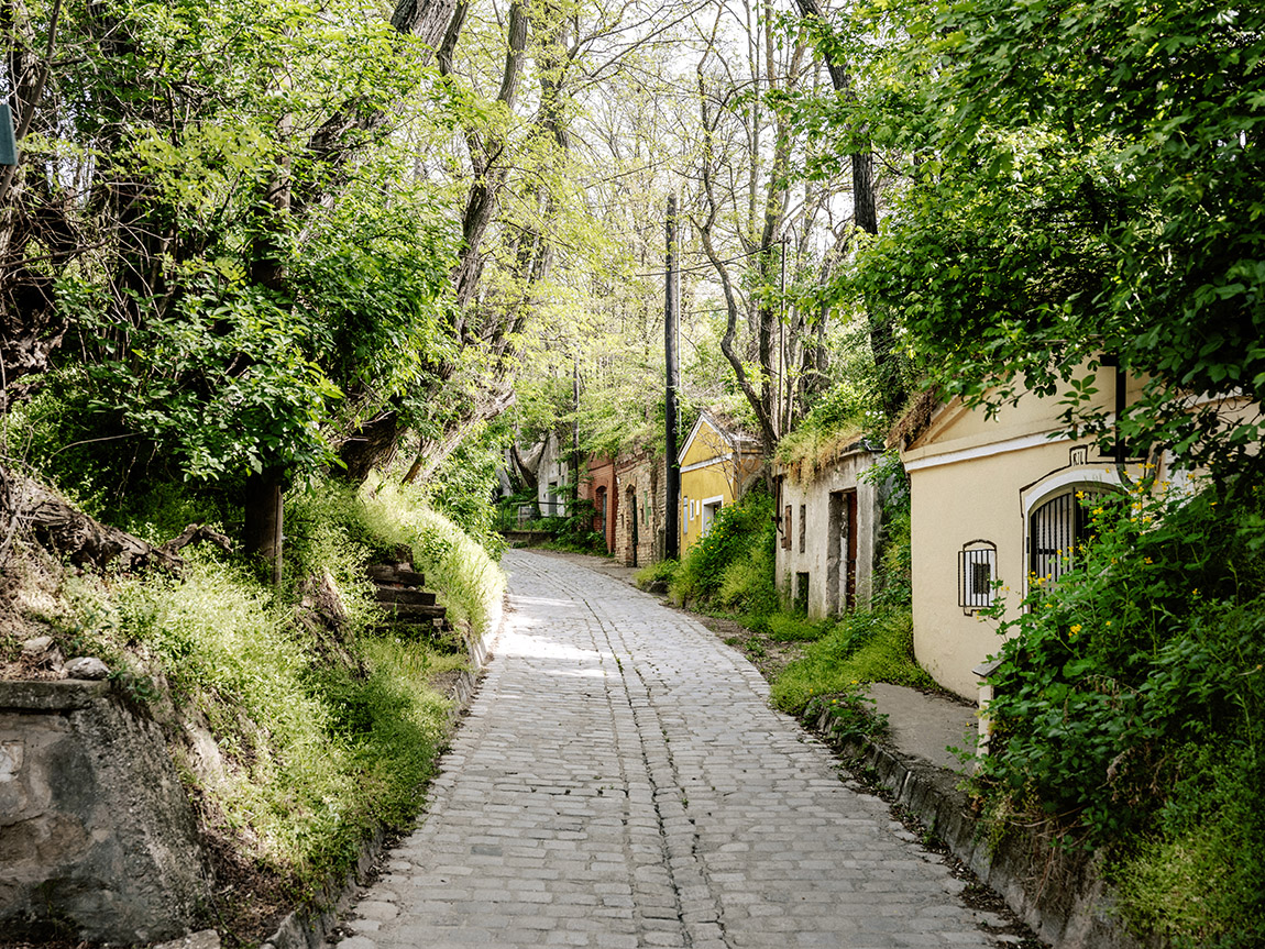 Wine cellars in Stammersdorf. Photo: © WienTourismus/Paul Bauer | Kellergasse in Stammersdorf / Wine cellars in Stammersdorf