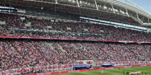 From amateur football to the Bundesliga