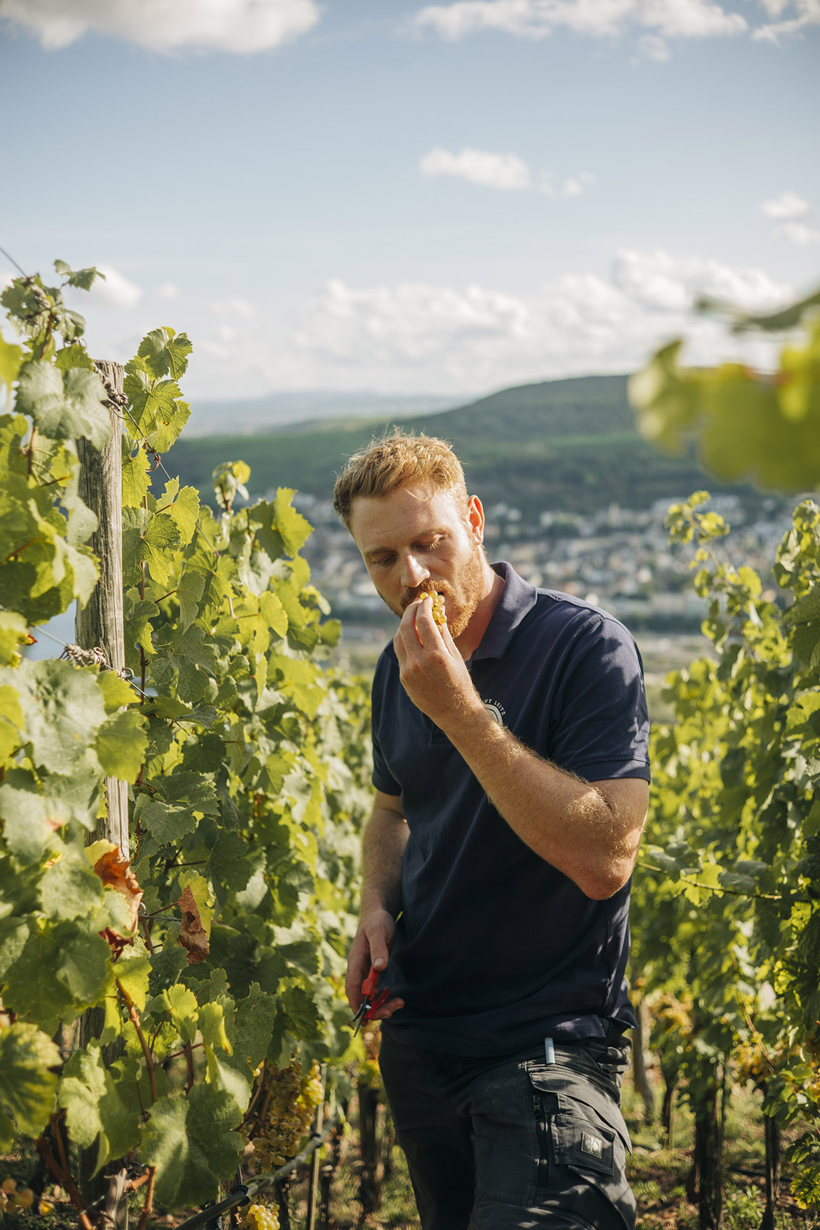 Antonius Leitz. | Weingut Leitz: Riesling reimagined – a young German winemaker goes NYC