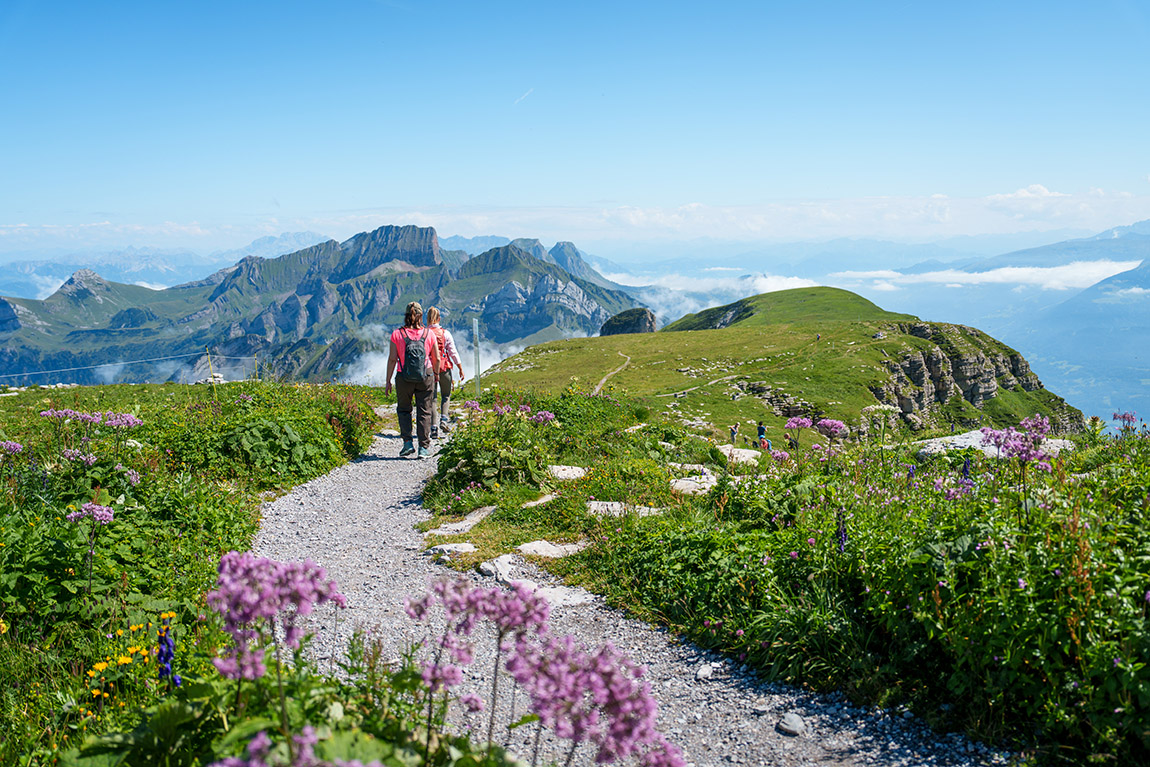 Panorama circular route Rosenboden. | The Chäserrugg area in Toggenburg: Where Switzerland shows its most authentic side