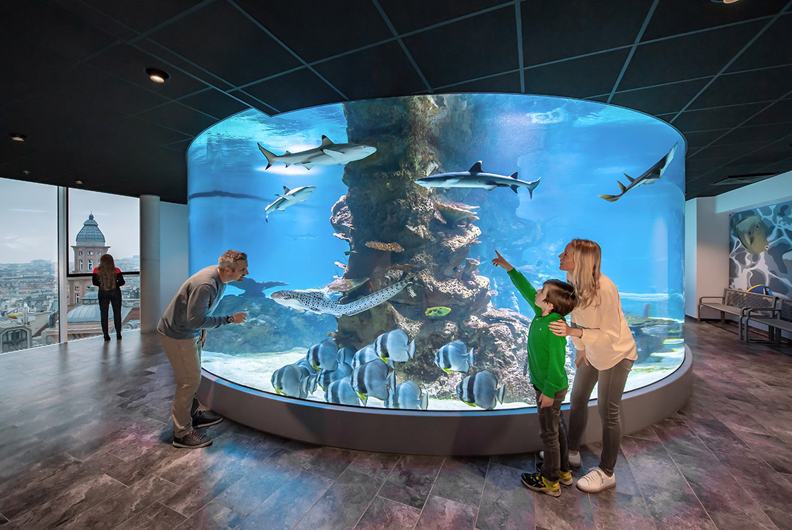 Haus des Meeres: Where Vienna meets the ocean