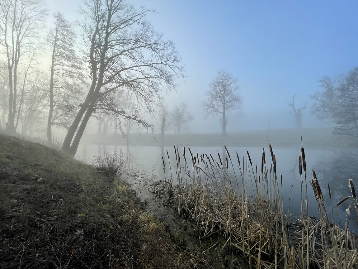 Schloss Rattey: Where wine, expansive nature and history come together