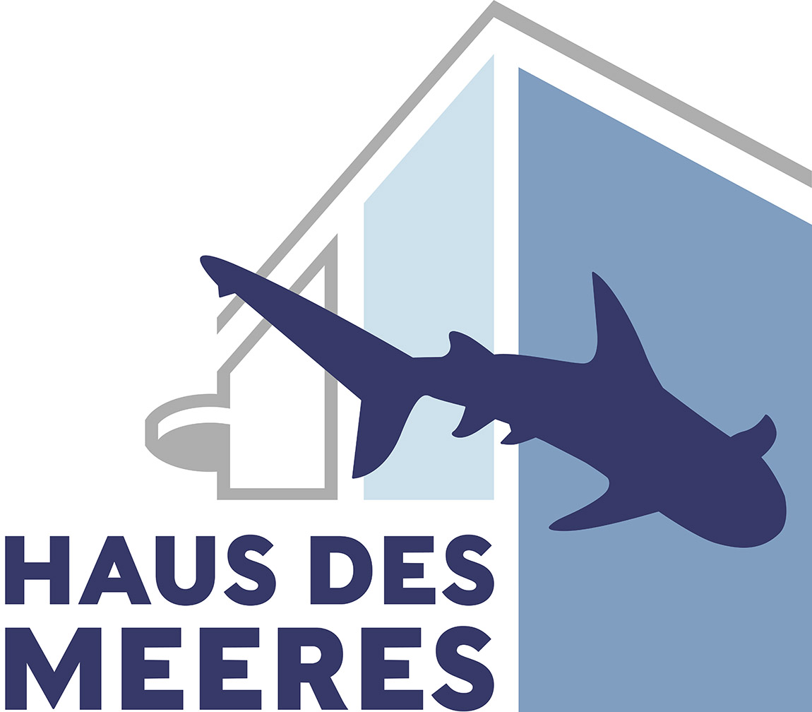 Haus des Meeres: Where Vienna meets the ocean