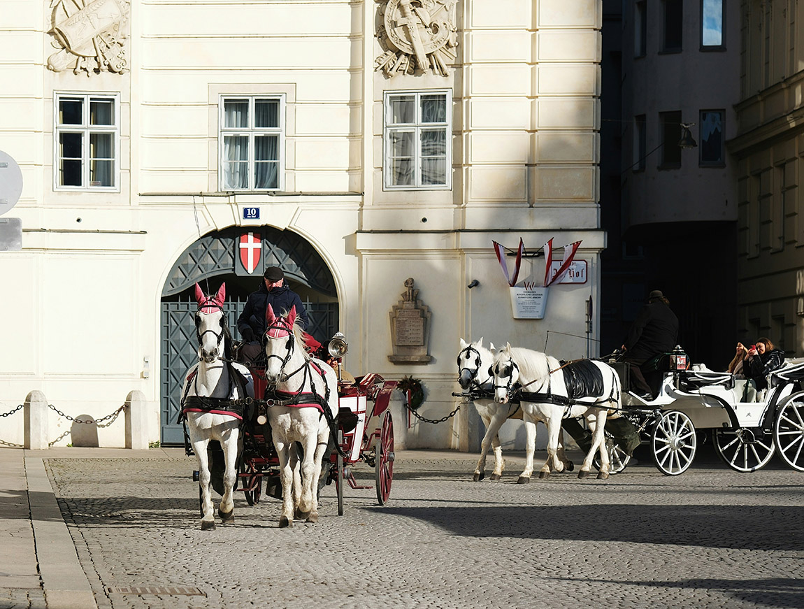 Photo: Unsplash, Dmitrii E | Love without borders: Why Germany, Switzerland and Austria are redefining destination weddings
