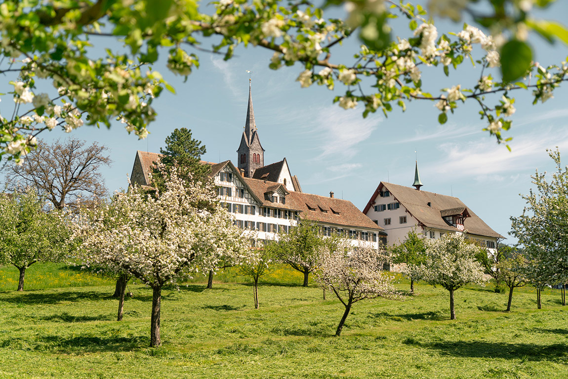 Kloster Kappel: 800 years of history, surrounded by nature
