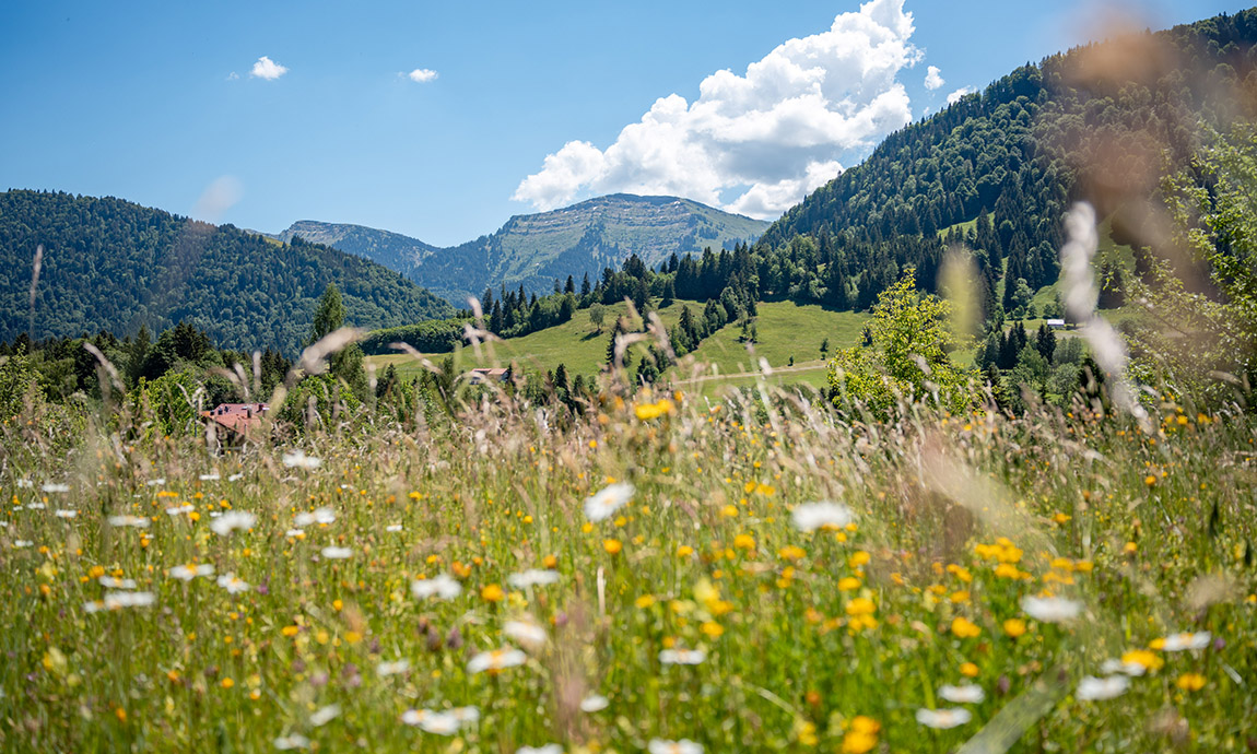 Königshof Hotel Resort Oberstaufen: Die Zeit anhalten: Sieben Tage tiefe Regeneration im Allgäu