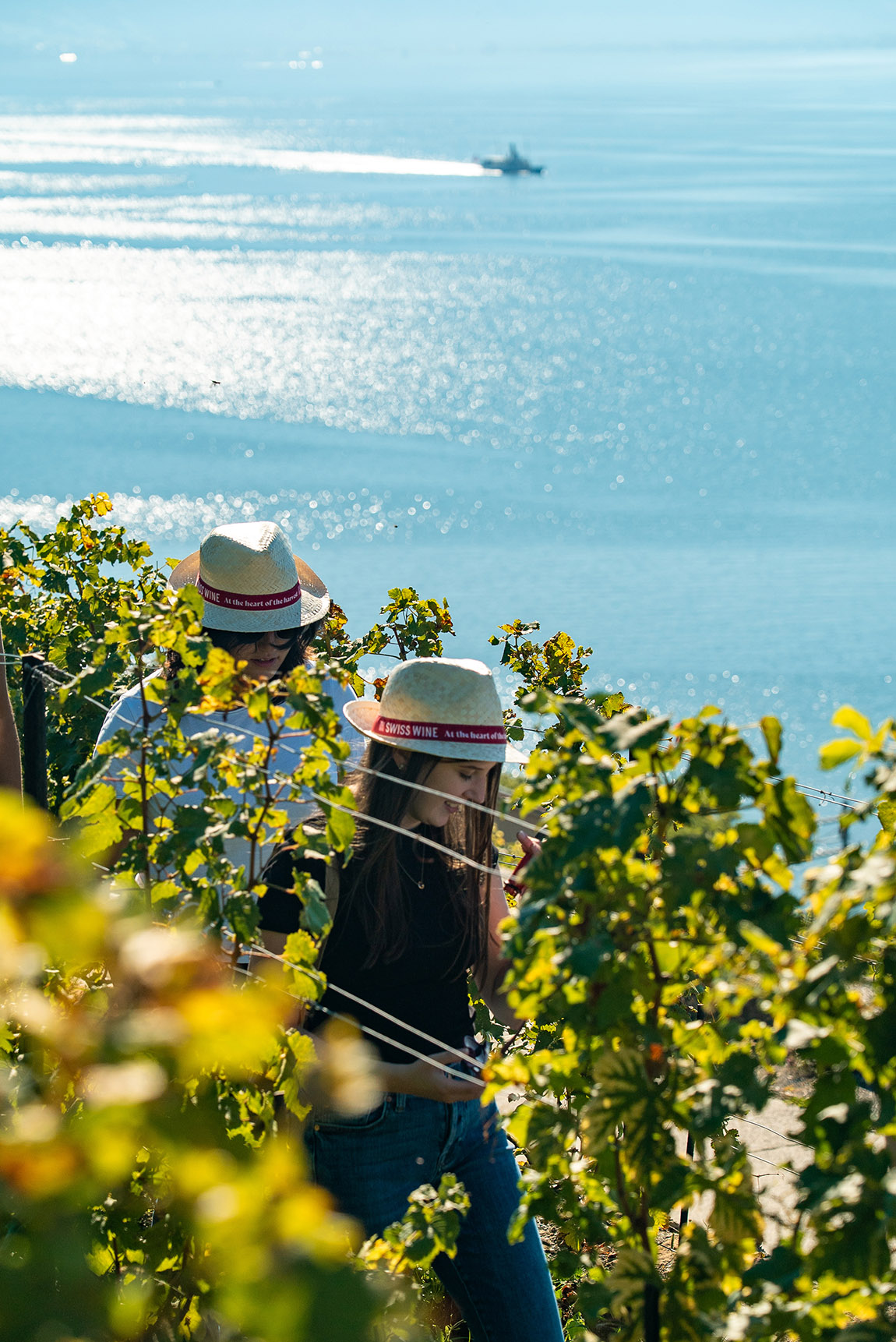 The Au cœur des vendanges event. Photo: © Swiss Wine Promotion | Colour explosion: Autumn in Switzerland’s vineyards