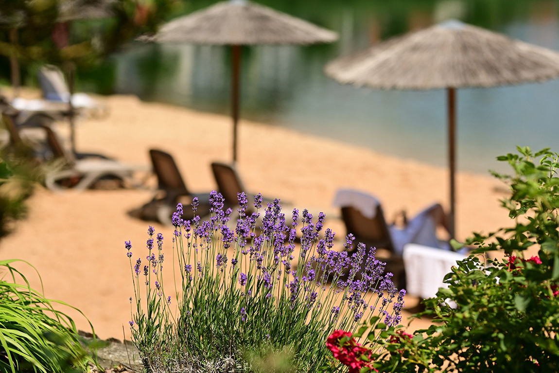 Seehotel Niedernberg: Where every arrival begins by the water