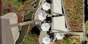 Weingut Hämmerli: Three terroirs, one passion