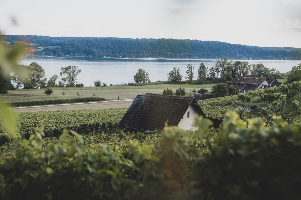 Weingut Hämmerli: Three terroirs, one passion