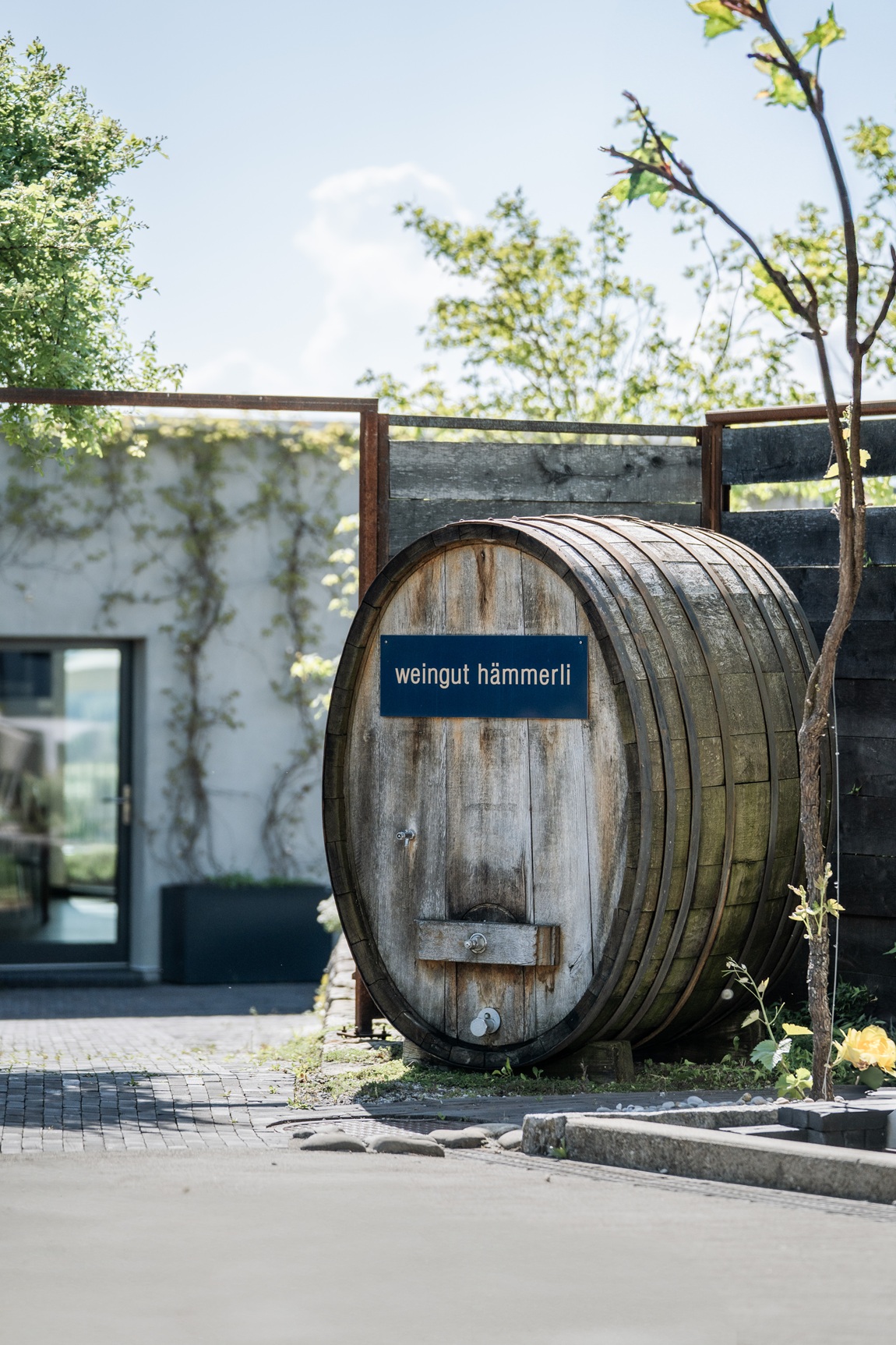 Weingut Hämmerli: Three terroirs, one passion