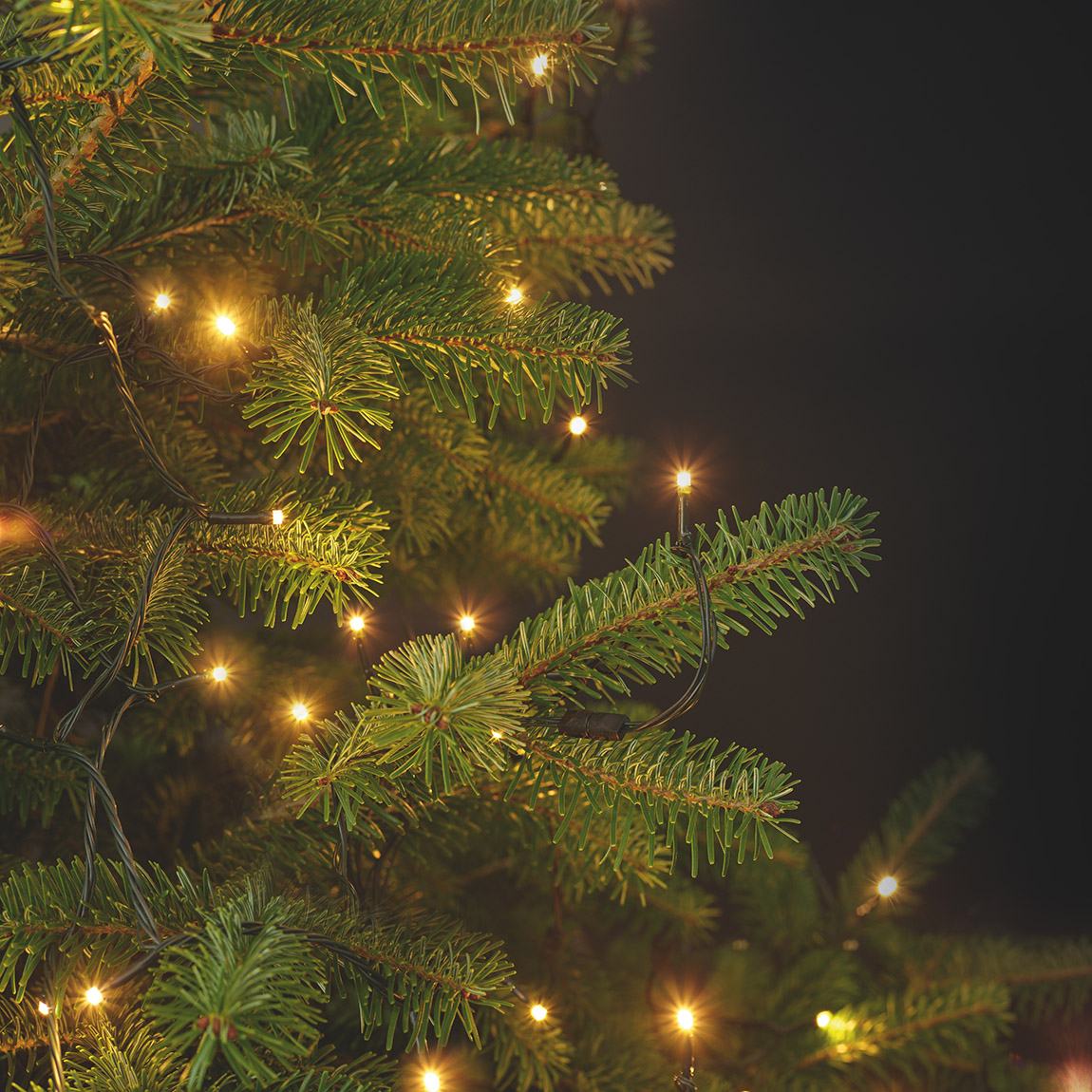 LUMIX Magnet-it: Die Lichterkette neu gedacht. | KRINNER: Innovations for stress-free Christmas festivities